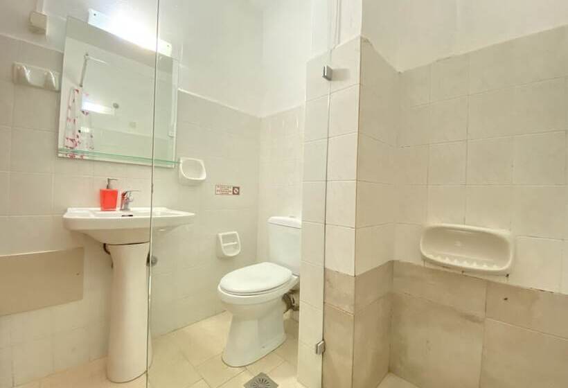 Апартаменты Basic 1 Спальня, Domenica Apartments