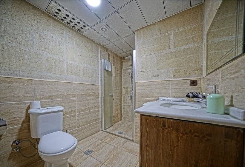 غرفة إقتصادية داخلية, Alaturca House