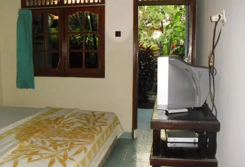 اتاق لوکس, Adus Beach Inn