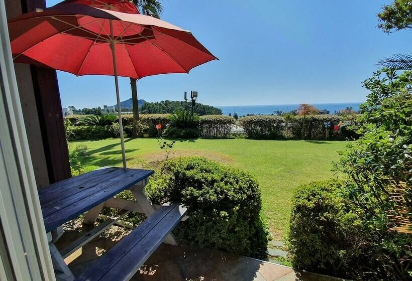 Cameră Basic, Beewool Chaewool