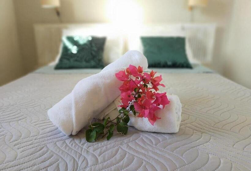 استودیوی استاندارد, Ti Village Creole