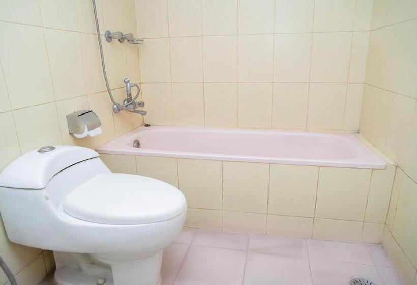 اتاق سوپریور, Air Inn Dhaka Airport View