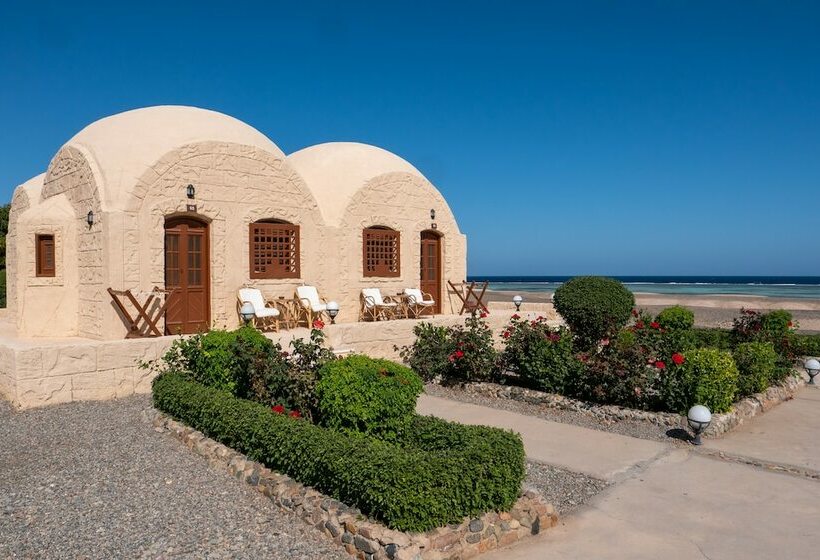 کلبه ییلاقی دلوکس یک خوابه, Marsa Shagra Village