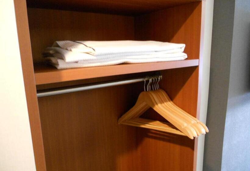 غرفة قياسية, Nikko Station Hotel Classic