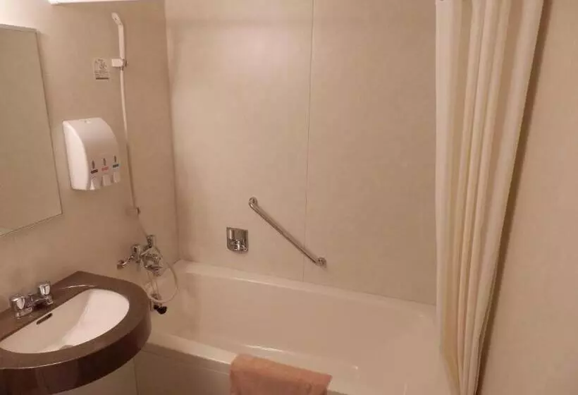 Standard Kolmen Hengen Huone, Nikko Station Hotel Classic