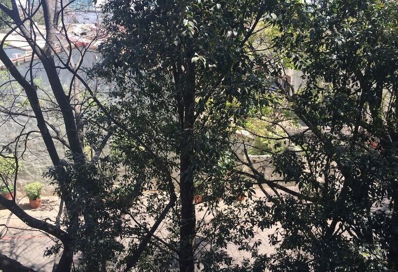 スタンダードスタジオ, Max Executive Apartments