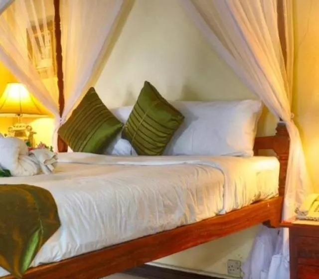 اتاق لوکس, Africa House Zanzibar