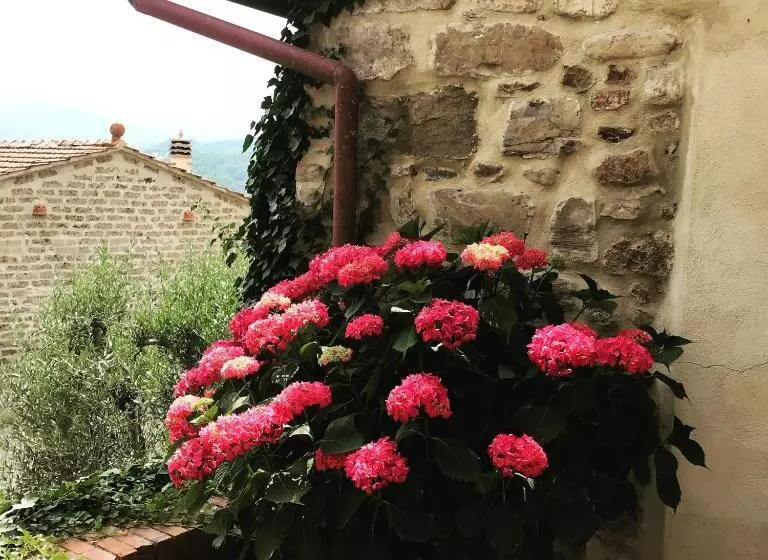 庭の見える１ベッドルームアパートメント, Agriturismo Materno