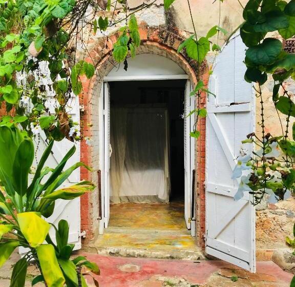 اتاق استاندارد, Florita