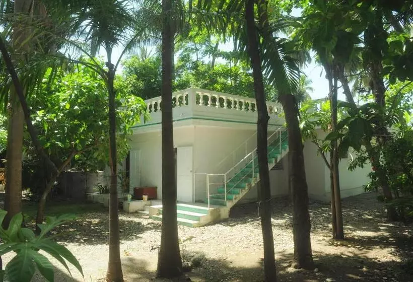 اتاق استاندارد, Florita