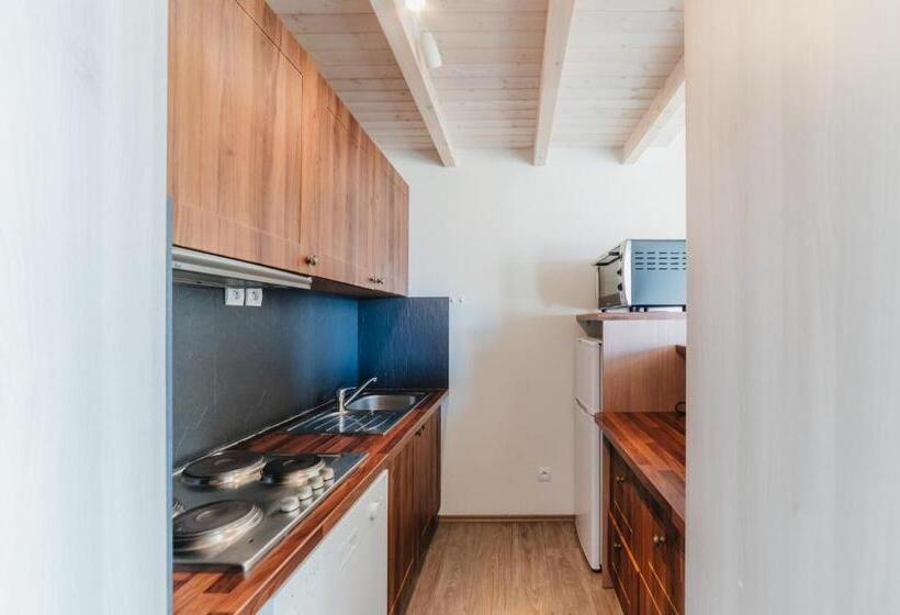 شقة غرفة واحدة, Residence Sunelia Les Logis D Orres