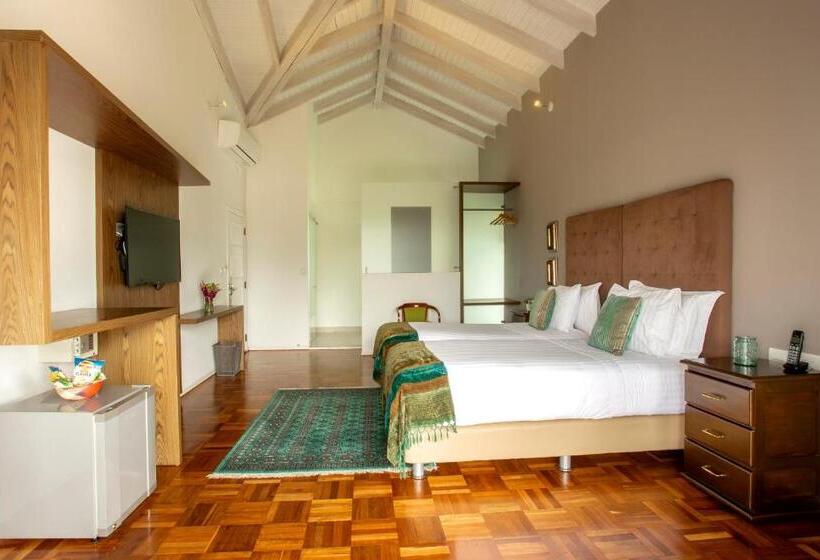 バルコニー付きデラックスルーム, Boutique El Triángulo