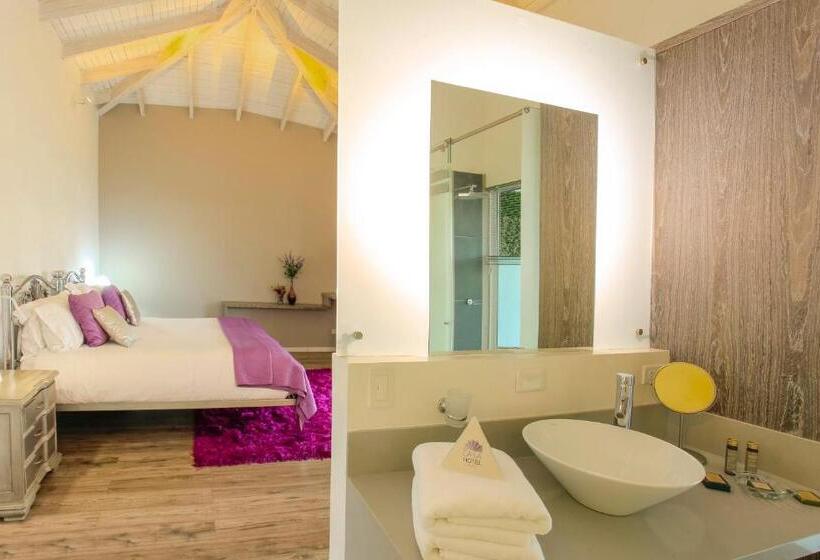 バルコニー付きデラックスルーム, Boutique El Triángulo