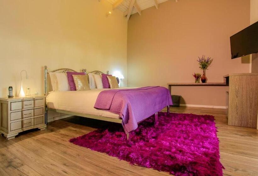 バルコニー付きデラックスルーム, Boutique El Triángulo