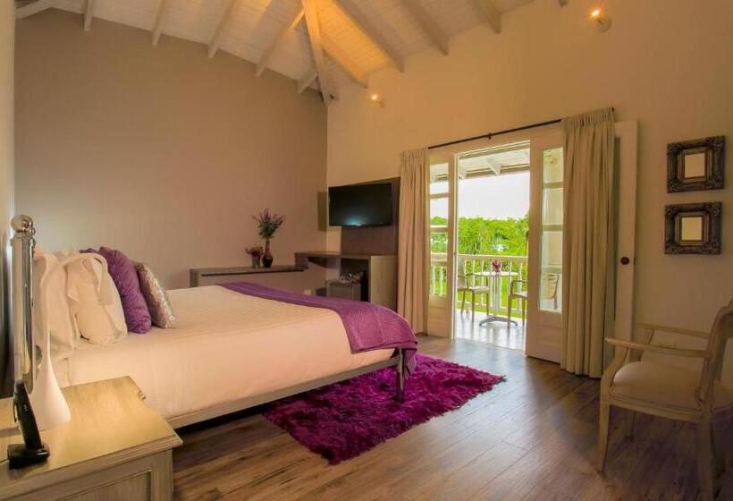 バルコニー付きデラックスルーム, Boutique El Triángulo