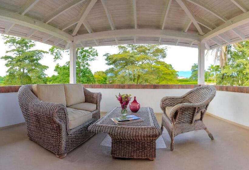 プールビュージュニアスイート, Boutique El Triángulo