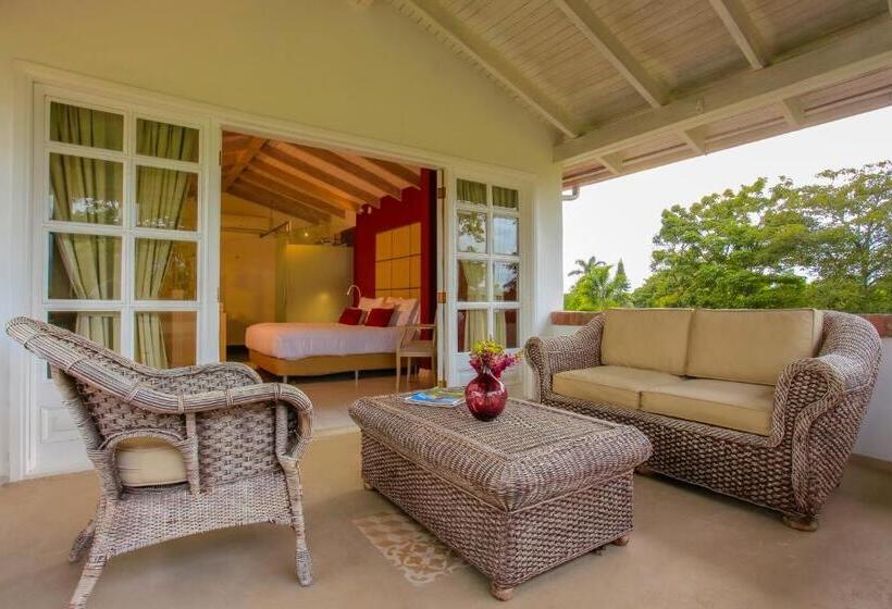 プールビュージュニアスイート, Boutique El Triángulo