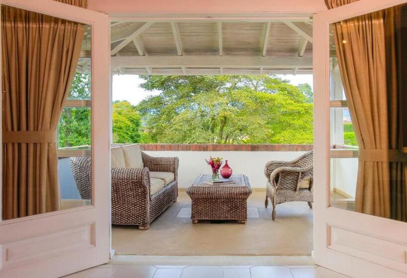 プールビュージュニアスイート, Boutique El Triángulo