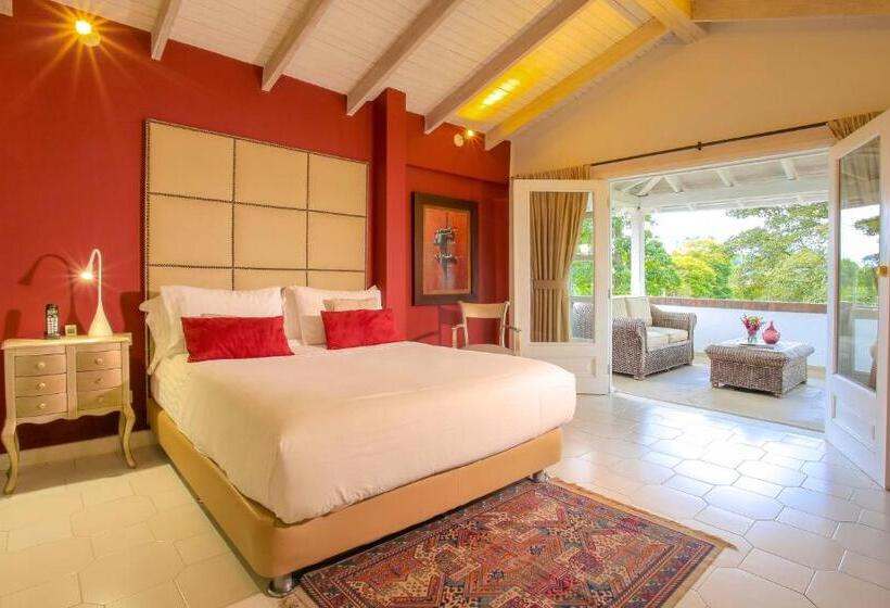 プールビュージュニアスイート, Boutique El Triángulo