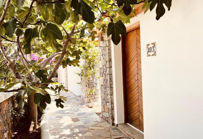 スタンダードバンガロー, Caesars Gardens Hotel & Spa   Adults Only