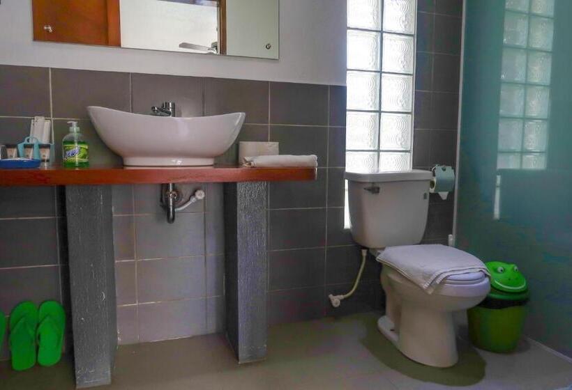 اتاق سوپریور با تخت بزرگ, Scent Of Green Papaya