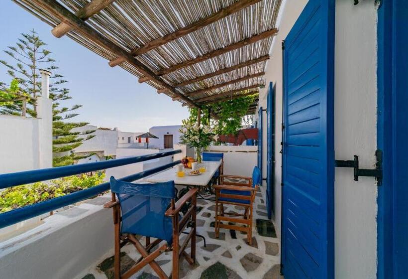 דירת חדר, Antonina