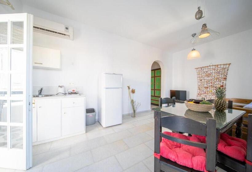 דירת חדר, Antonina