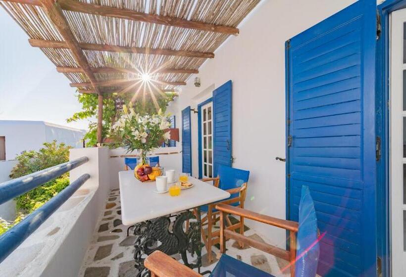 דירת חדר, Antonina