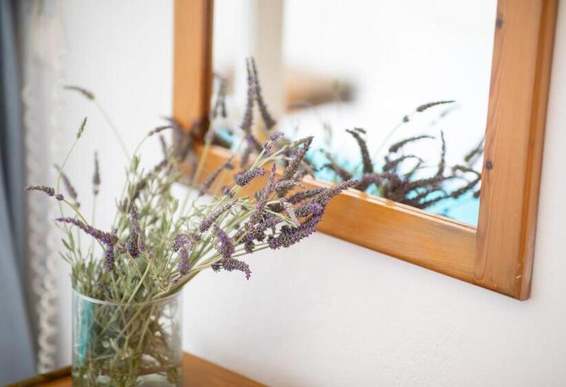 סוויטת ג'וניור, Antonina