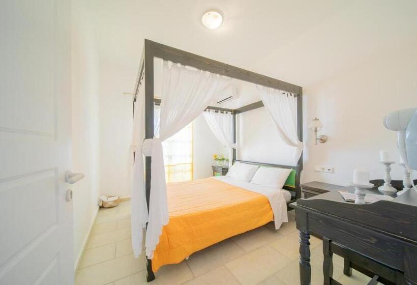 דירת חדר, Antonina