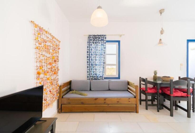 דירת חדר, Antonina