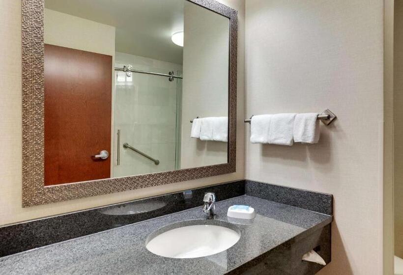 Номер Deluxe Кровать Кинг, Drury Inn & Suites Independence Kansas City