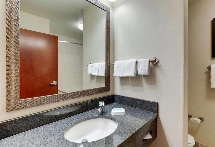 Номер Deluxe Адаптированный для Инвалидов, Drury Inn & Suites Independence Kansas City