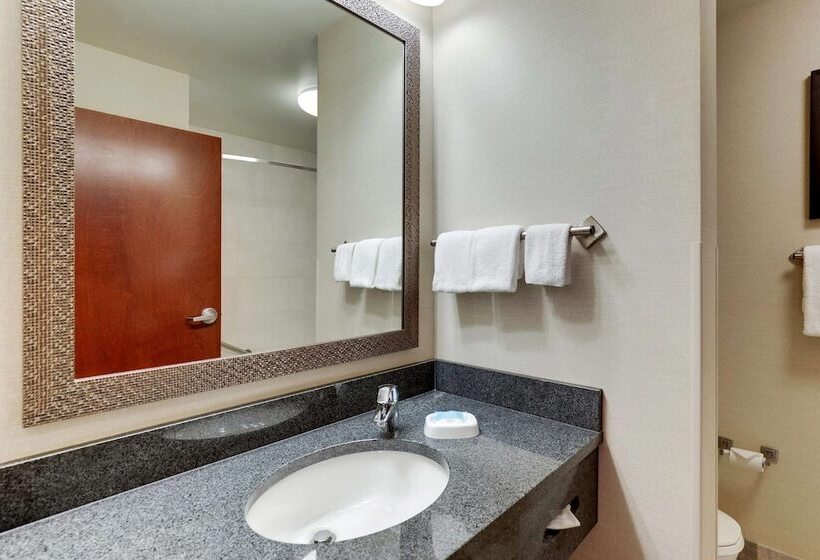 جناح لذوى الاحتياجات الخاصة, Drury Inn & Suites Independence Kansas City