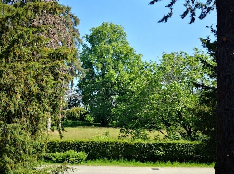 스탠다드 룸, Le 5 Frecce