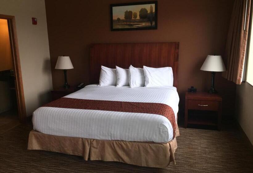 带大床的标准间, Cobblestone Inn & Suites  Newton