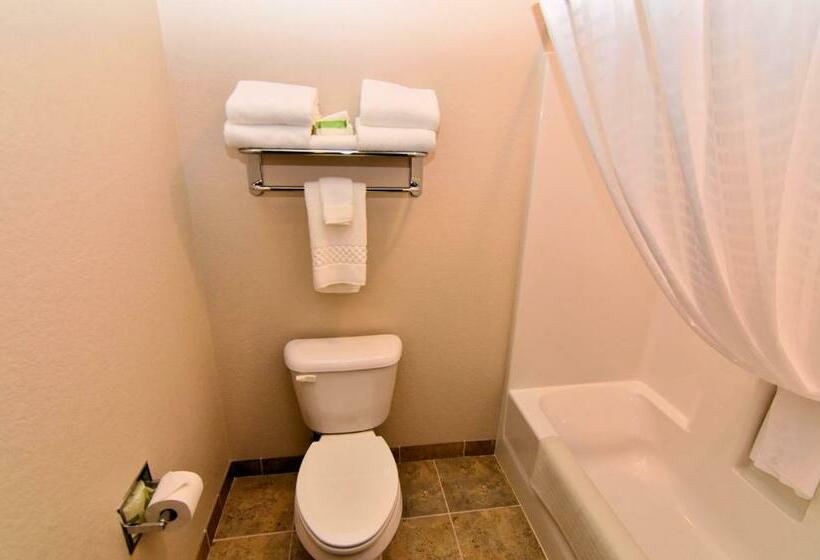 Люкс, Cobblestone Inn & Suites Newton