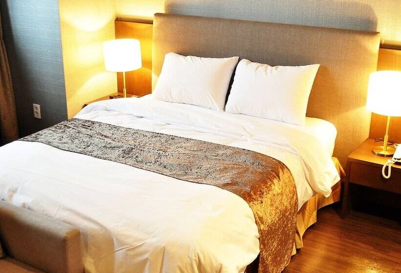 חדר סטנדרט, Hyunjin Tourist