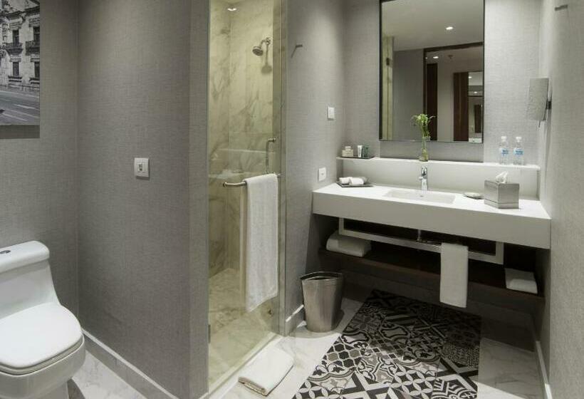 스탠다드 룸 킹사이즈 침대, Krystal Urban Guadalajara