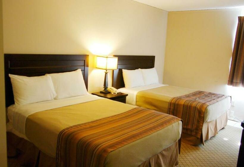 חדר סטנדרט שתי מיטות זוגיות, Airport Traveller S Inn