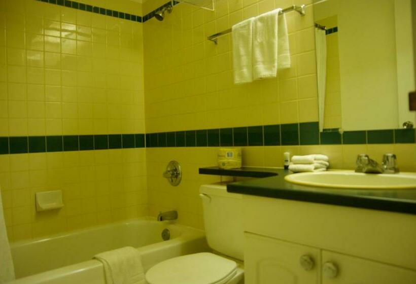 חדר סטנדרט, Airport Traveller S Inn