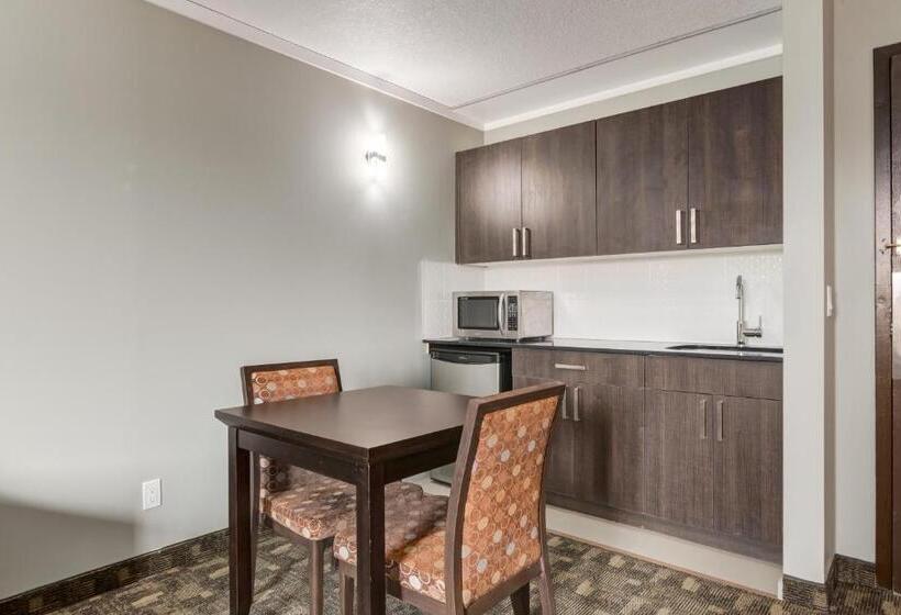 סוויטה, Airport Traveller S Inn