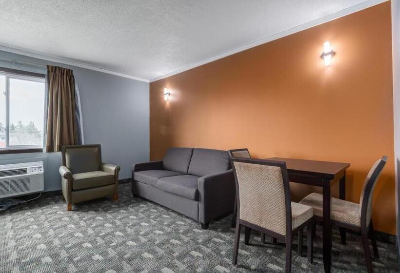 סוויטה אקזקיוטיב, Airport Traveller S Inn