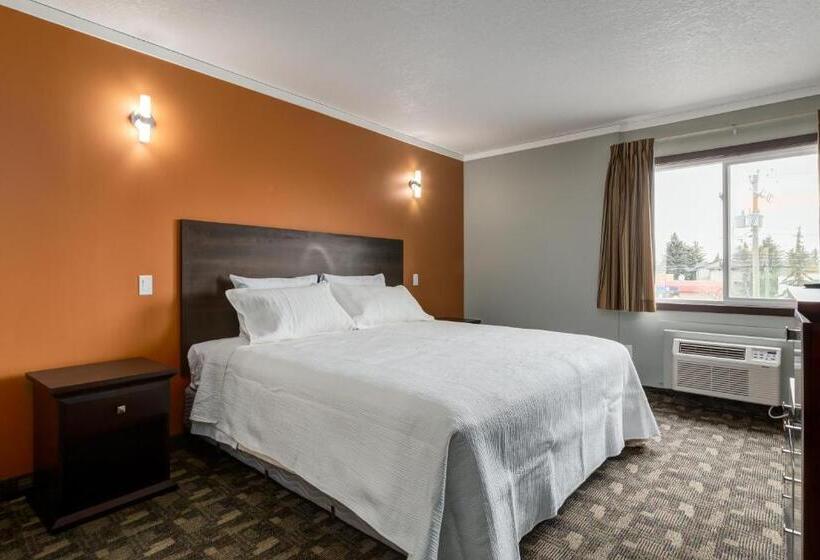 סוויטה אקזקיוטיב, Airport Traveller S Inn