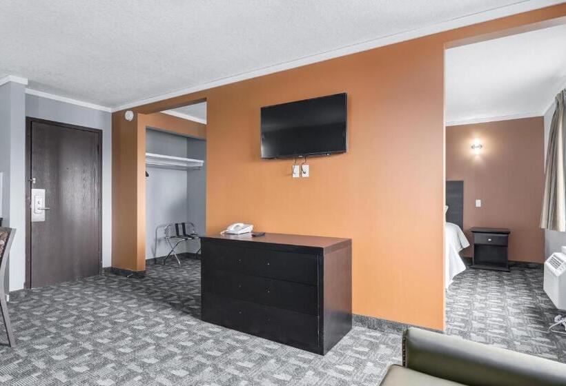 行政套房, Airport Traveller S Inn