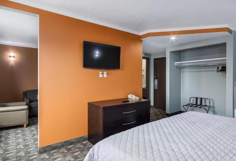 סוויטה אקזקיוטיב, Airport Traveller S Inn