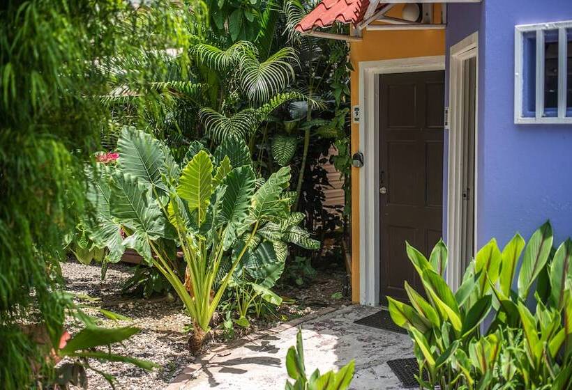 带大床的标准间, Jaco Lodge Quiet Place