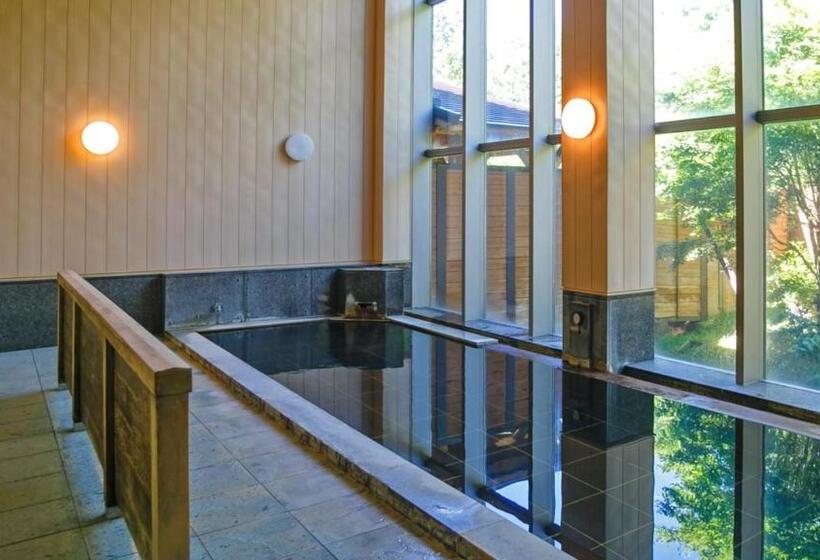 Номер Стандарт Совместная Ванная, Kyukamura Norikurakogen