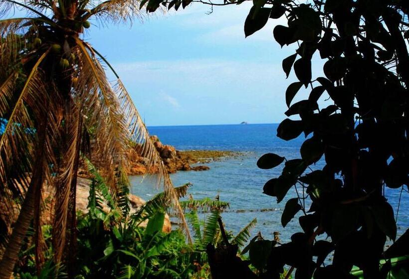 בקתה סטנדרטית, Lucky Resort