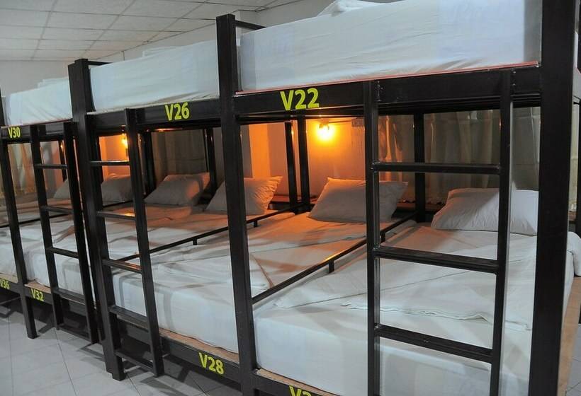 מיטה בחדר משותף, Mickey Hostel